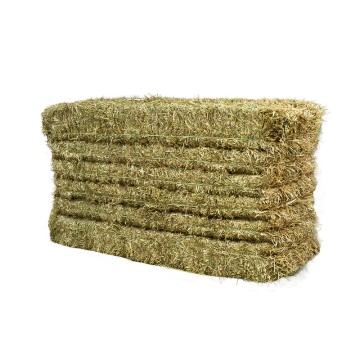 🌾 Mix Foraggero Italiano – Fieno misto di cereali e graminacee per bovini e cavalli